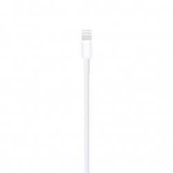 Cavo Apple da Lightning a USB 2m